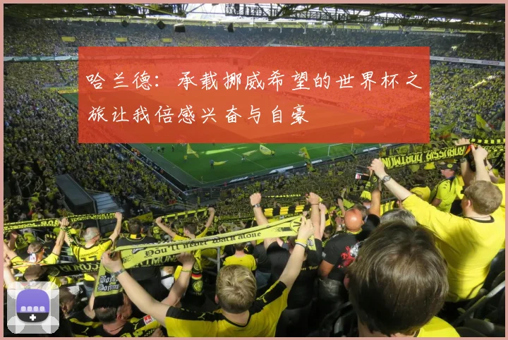 哈兰德：承载挪威希望的世界杯之旅让我倍感兴奋与自豪