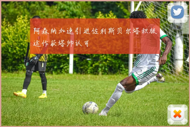 阿森纳加速引进佐利斯贝尔塔积极运作获塔帅认可